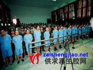 南宁海关史上案值最大走私案