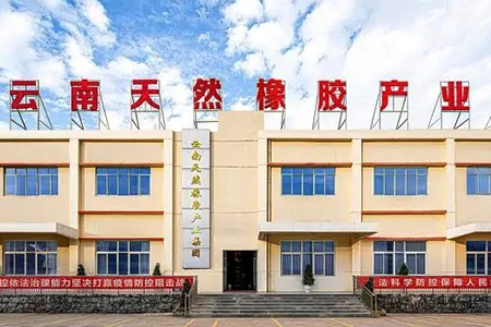 海南天然橡胶子公司与香港达维有限公司发生纠纷法院二审判决