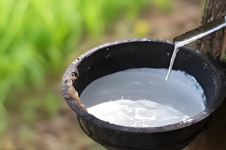 天然胶全乳胶现货价格上涨150元/吨