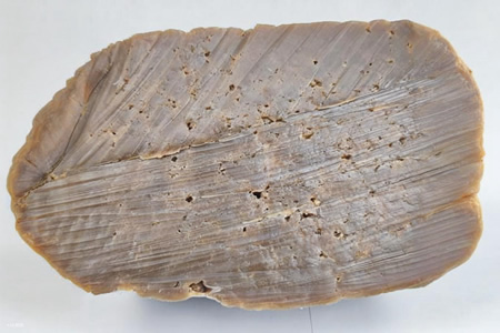 天然橡胶混合胶价格下滑100-150元/吨