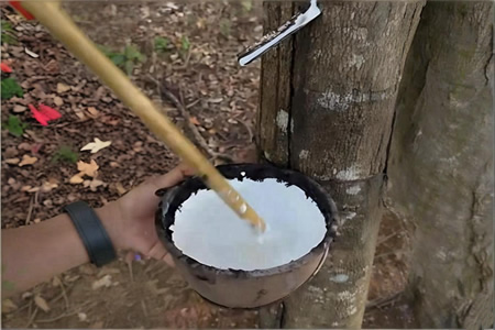 海南国营天然胶胶水价格15750元/吨