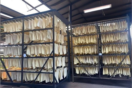 上海泰三烟片胶价格19450-19600元